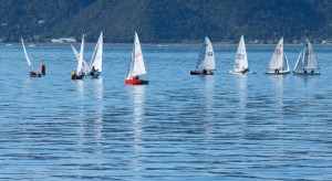 Around the Mark, Wellington Harbour