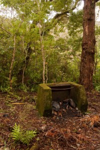 Bush BBQ, Tararua Ranges