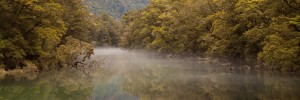 Clinton River, Milford Track, Fiordland National Park