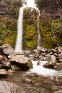 Dawson Falls, Egmont National Park