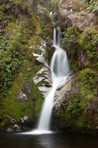 Dorothy Falls, Lake Kaniere, Westland