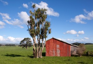 Farm Shed, Wairarapa