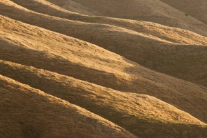 Hill Country Farmland, Upper Hutt