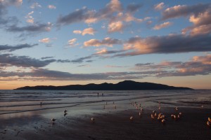 Kapiti Island