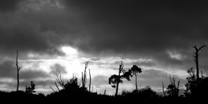Knights Point, South Westland (BW)