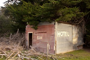 Local Accomodation, Wairarapa