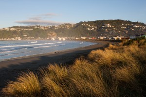 Lyall Bay