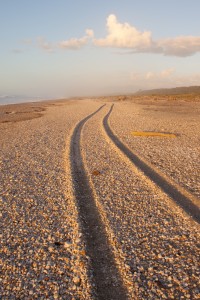 Okuru Beach Tracks, South Westland