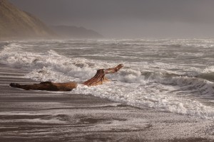 Paekakariki Beach, Kapiti