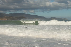 Pencarrow Head, Wellington Harbour Entrance