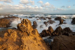 Rugged Foreshore, Wellington South Coast