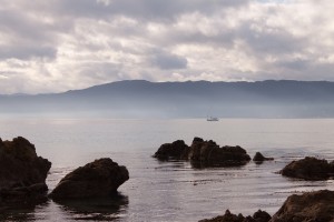 Sailing, Wellington Harbour