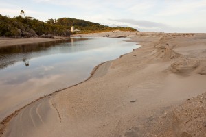 Ship Creek Estuary, South Westland