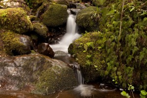 Small Waterfall, Tararua Ranges