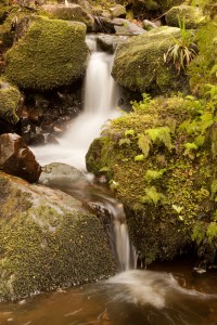 Small Waterfall, Tararua Ranges (VF)