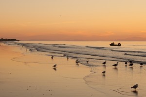 Waikanae Beach, Kapiti