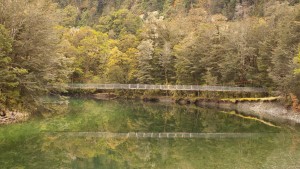 Swingbridge over the Clinton River, Milford Track, Fiordland National Park